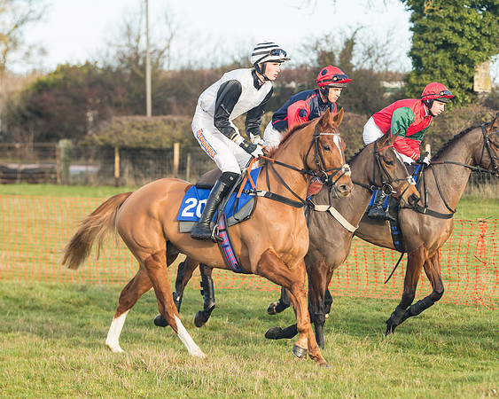Race 2 - The Young Horse Maiden (3 of 76)