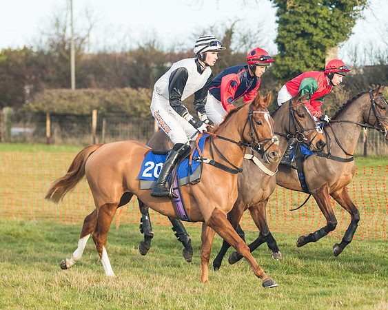 Race 2 - The Young Horse Maiden (4 of 76)