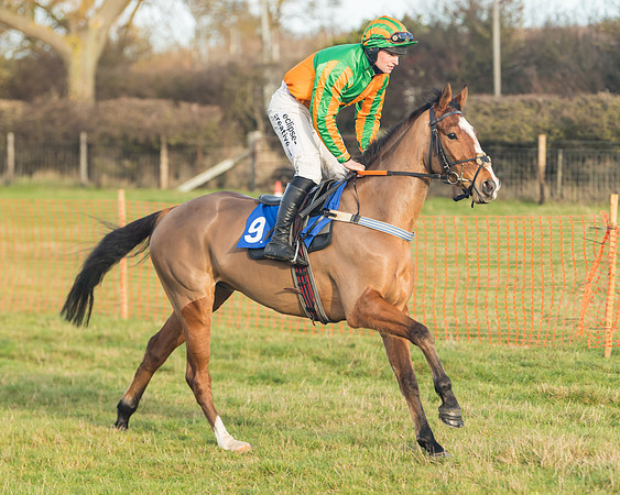 Race 2 - The Young Horse Maiden (5 of 76)