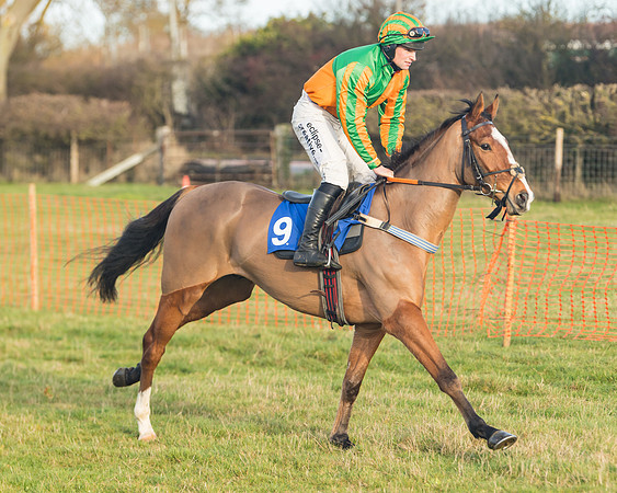 Race 2 - The Young Horse Maiden (6 of 76)