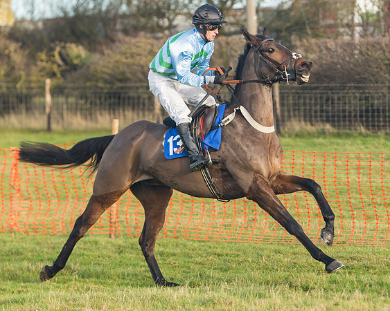 Race 2 - The Young Horse Maiden (7 of 76)