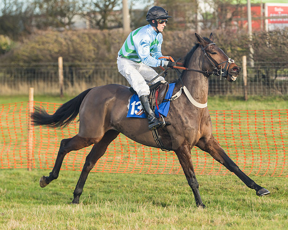 Race 2 - The Young Horse Maiden (8 of 76)