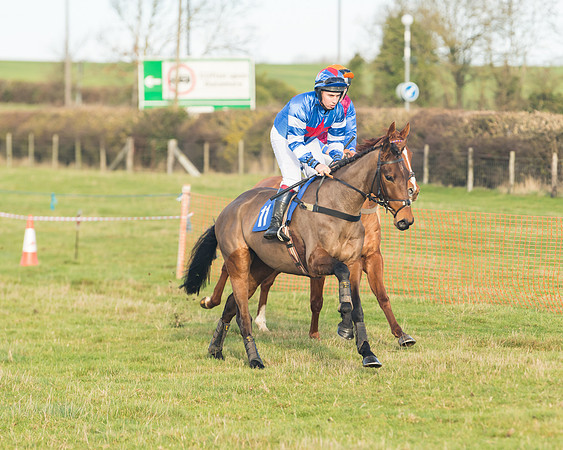 Race 2 - The Young Horse Maiden (9 of 76)