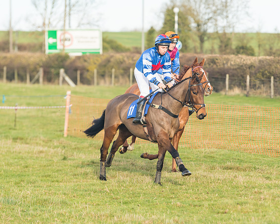 Race 2 - The Young Horse Maiden (10 of 76)