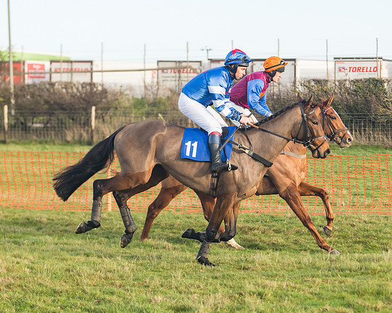 Race 2 - The Young Horse Maiden (11 of 76)