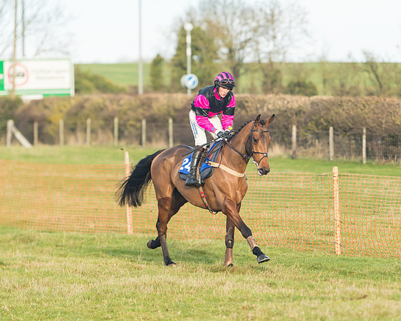 Race 2 - The Young Horse Maiden (12 of 76)