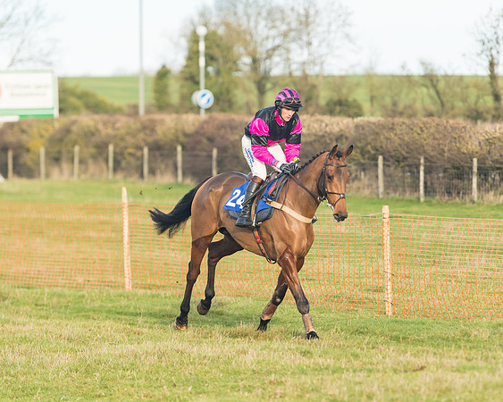 Race 2 - The Young Horse Maiden (13 of 76)