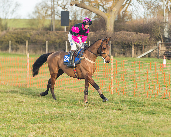 Race 2 - The Young Horse Maiden (14 of 76)