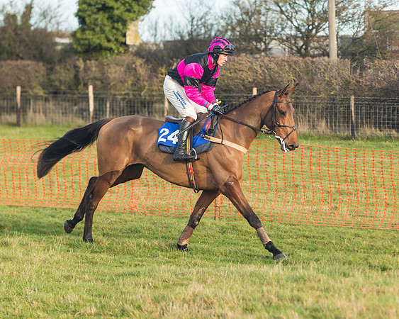 Race 2 - The Young Horse Maiden (15 of 76)