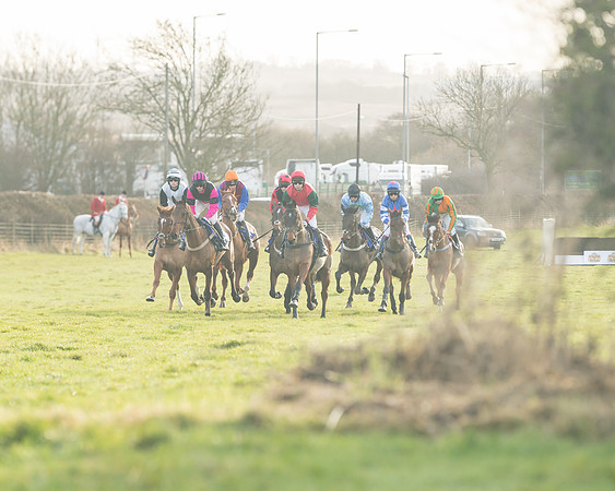 Race 2 - The Young Horse Maiden (16 of 76)