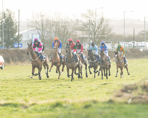 Race 2 - The Young Horse Maiden (17 of 76)