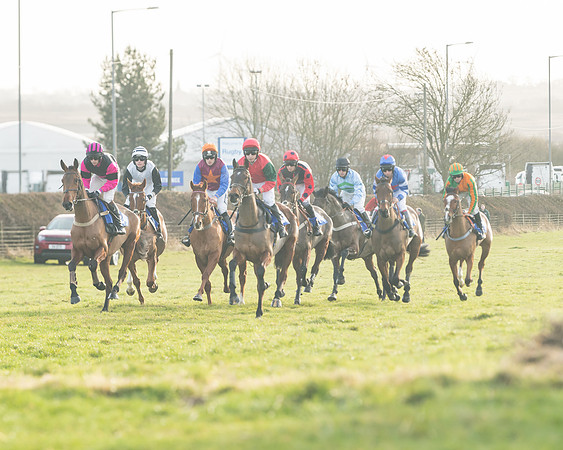 Race 2 - The Young Horse Maiden (18 of 76)