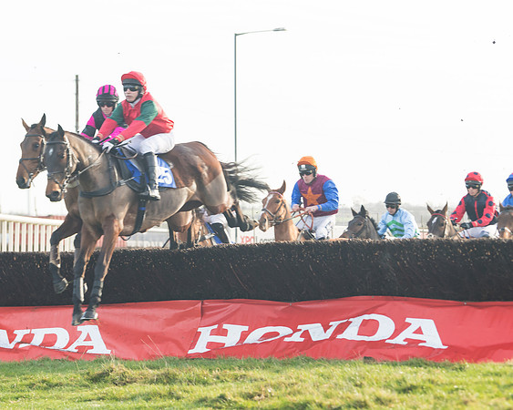 Race 2 - The Young Horse Maiden (23 of 76)