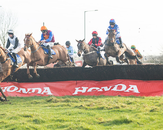 Race 2 - The Young Horse Maiden (25 of 76)