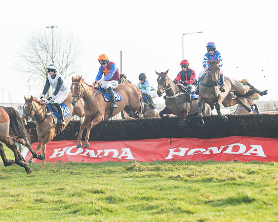 Race 2 - The Young Horse Maiden (26 of 76)