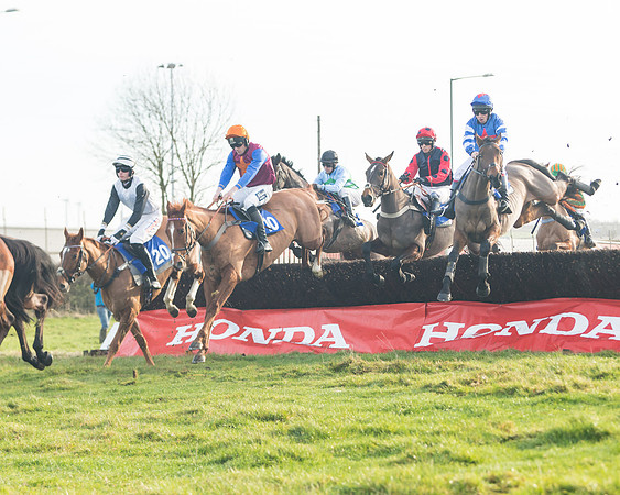 Race 2 - The Young Horse Maiden (27 of 76)