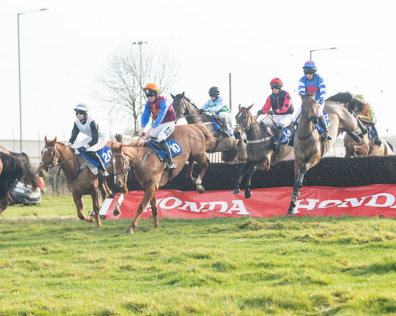 Race 2 - The Young Horse Maiden (28 of 76)