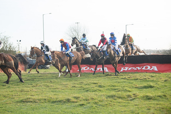 Race 2 - The Young Horse Maiden (29 of 76)