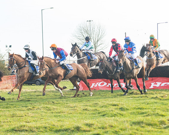 Race 2 - The Young Horse Maiden (30 of 76)