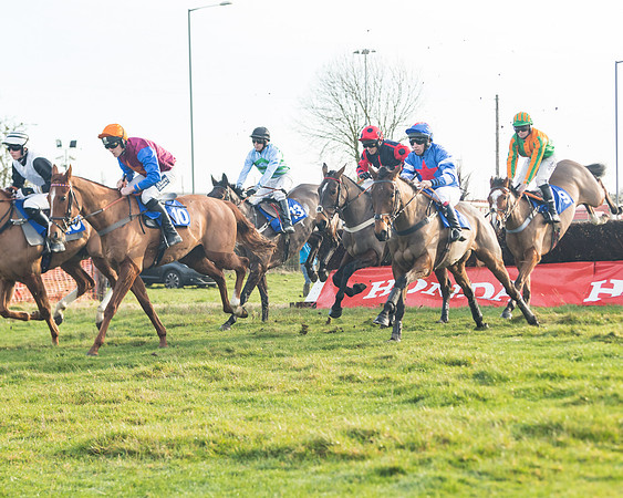 Race 2 - The Young Horse Maiden (31 of 76)