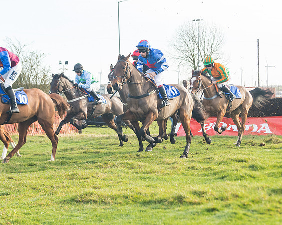 Race 2 - The Young Horse Maiden (32 of 76)