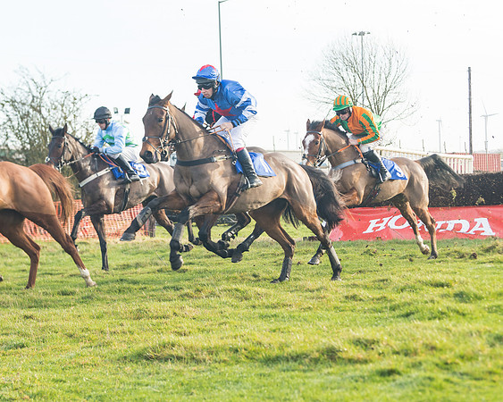 Race 2 - The Young Horse Maiden (33 of 76)