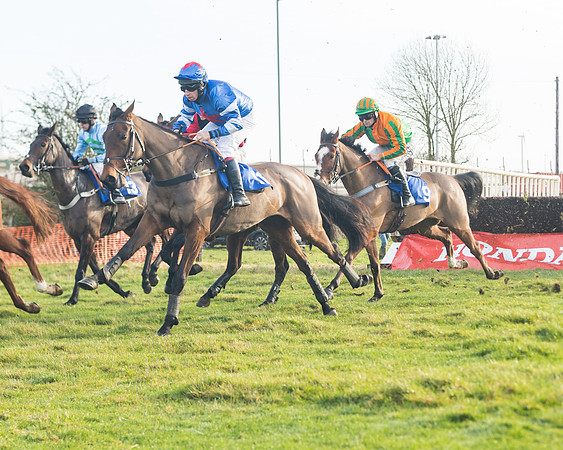 Race 2 - The Young Horse Maiden (34 of 76)