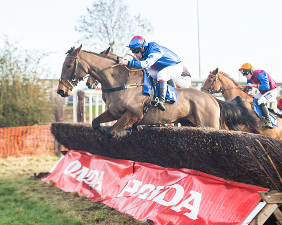 Race 2 - The Young Horse Maiden (37 of 76)