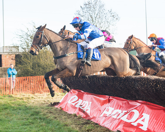 Race 2 - The Young Horse Maiden (38 of 76)