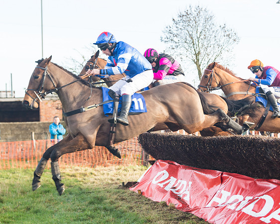 Race 2 - The Young Horse Maiden (39 of 76)