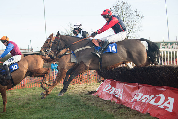 Race 2 - The Young Horse Maiden (41 of 76)
