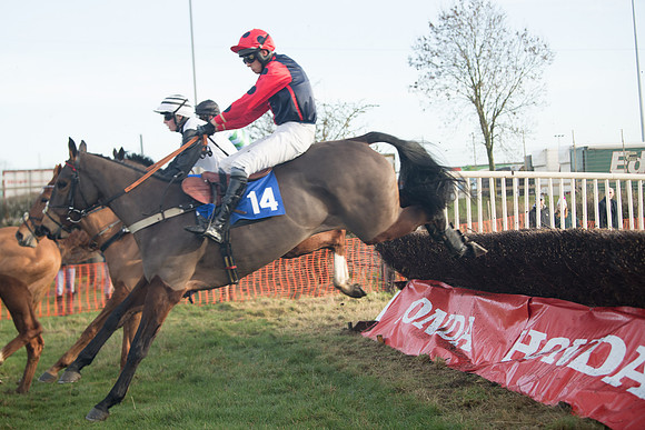 Race 2 - The Young Horse Maiden (42 of 76)
