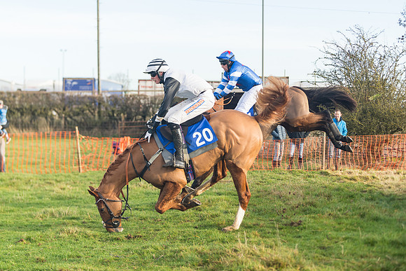 Race 2 - The Young Horse Maiden (49 of 76)