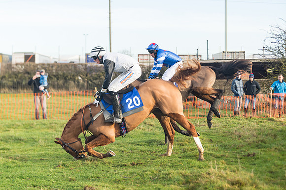 Race 2 - The Young Horse Maiden (50 of 76)