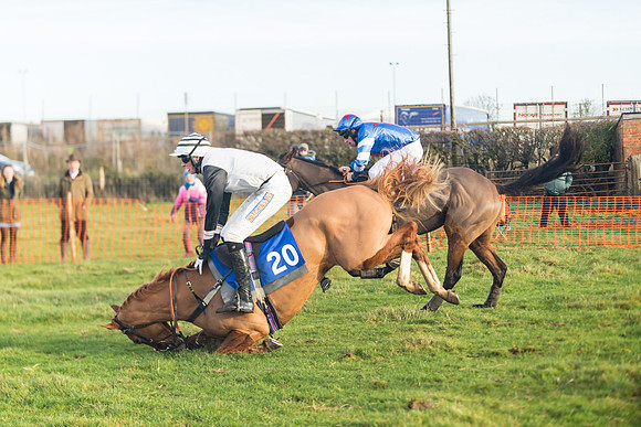 Race 2 - The Young Horse Maiden (52 of 76)