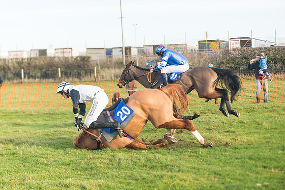Race 2 - The Young Horse Maiden (55 of 76)