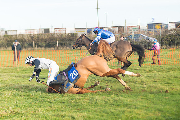 Race 2 - The Young Horse Maiden (56 of 76)