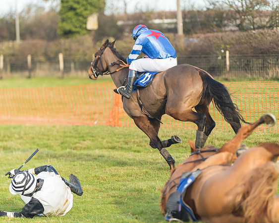 Race 2 - The Young Horse Maiden (63 of 76)