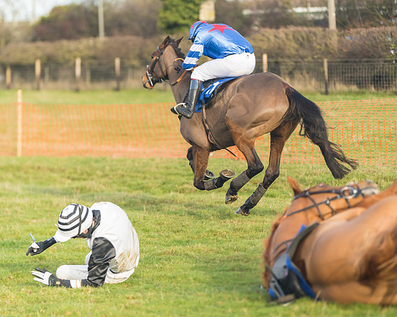 Race 2 - The Young Horse Maiden (64 of 76)