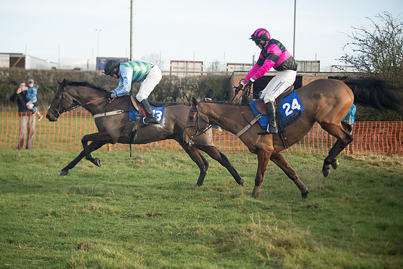 Race 2 - The Young Horse Maiden (67 of 76)