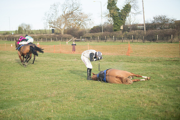 Race 2 - The Young Horse Maiden (68 of 76)