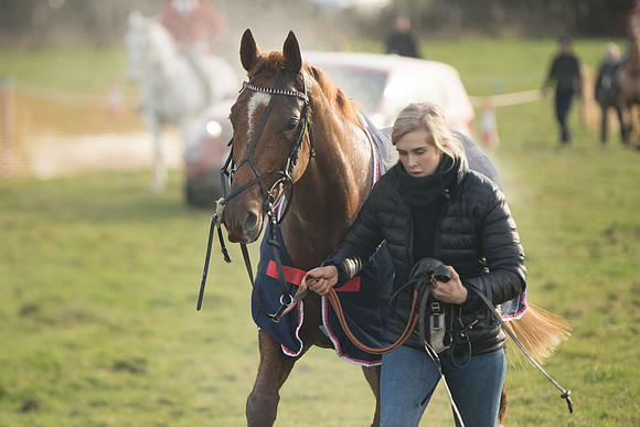 Race 2 - The Young Horse Maiden (72 of 76)