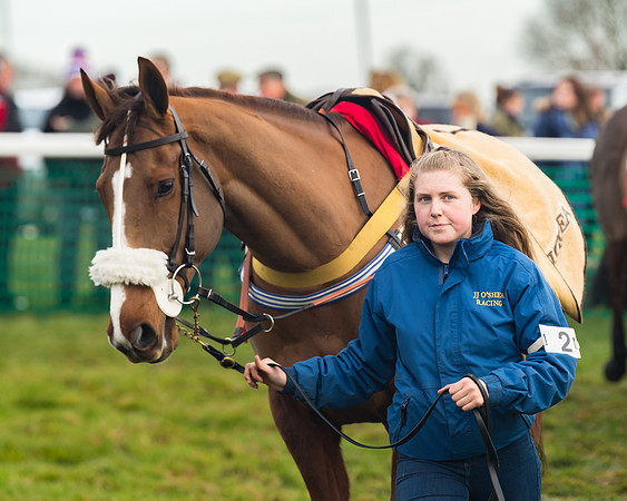 Race 4 - The Ladies Open (2 of 89)