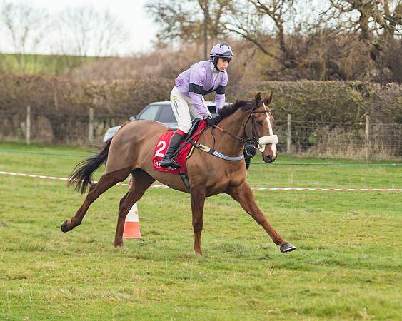 Race 4 - The Ladies Open (14 of 89)