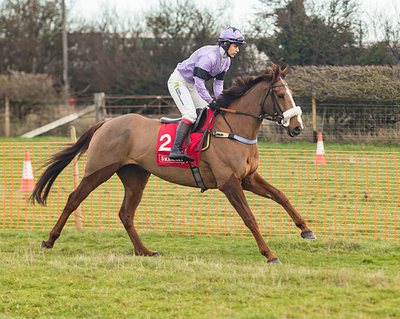 Race 4 - The Ladies Open (15 of 89)
