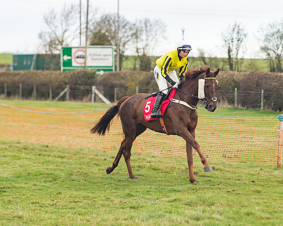 Race 4 - The Ladies Open (17 of 89)