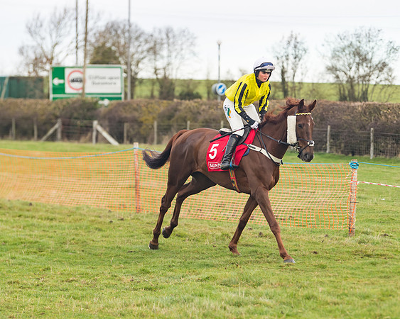Race 4 - The Ladies Open (18 of 89)