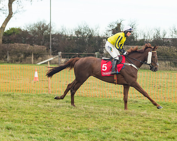 Race 4 - The Ladies Open (19 of 89)