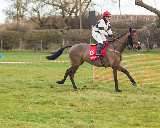 Race 4 - The Ladies Open (24 of 89)