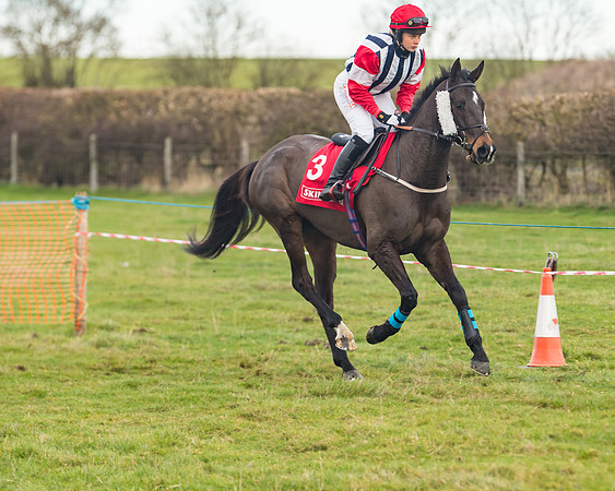 Race 4 - The Ladies Open (27 of 89)